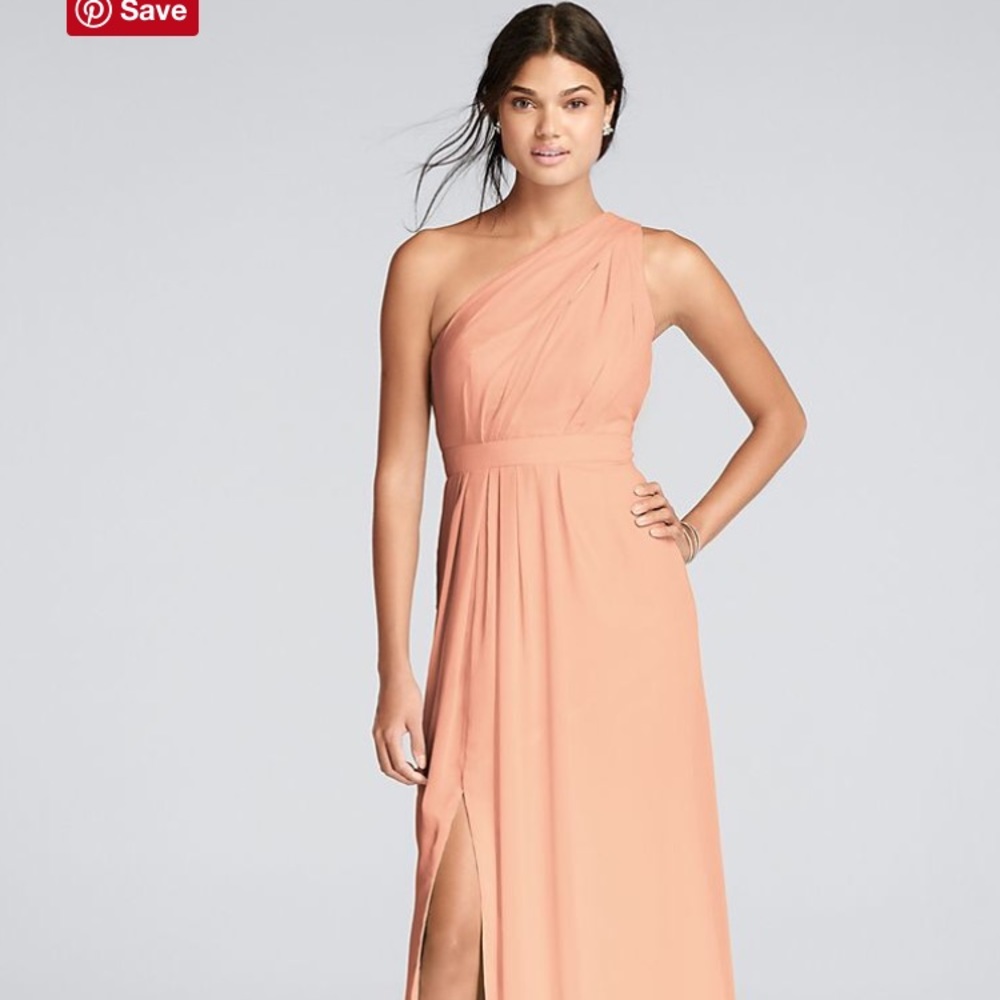 NWT David’s Bridal Bridesmaid’s dress